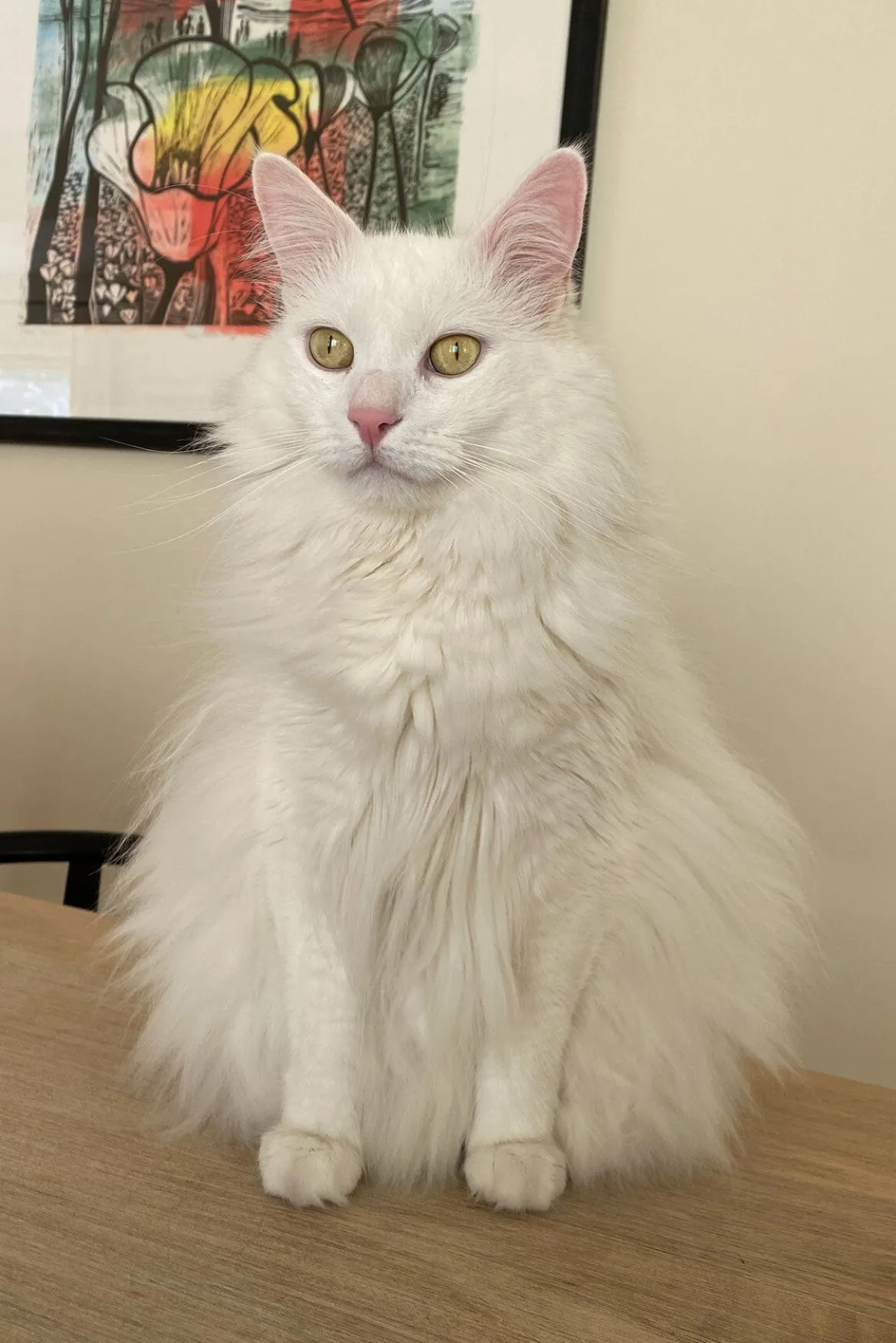 STAUD | CUSTOM SHIRLEY LEATHER BAG | BLACK