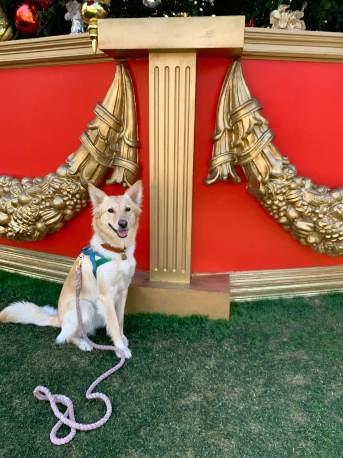 STAUD CUSTOM MINI SHIRLEY LEATHER BAG | TAN