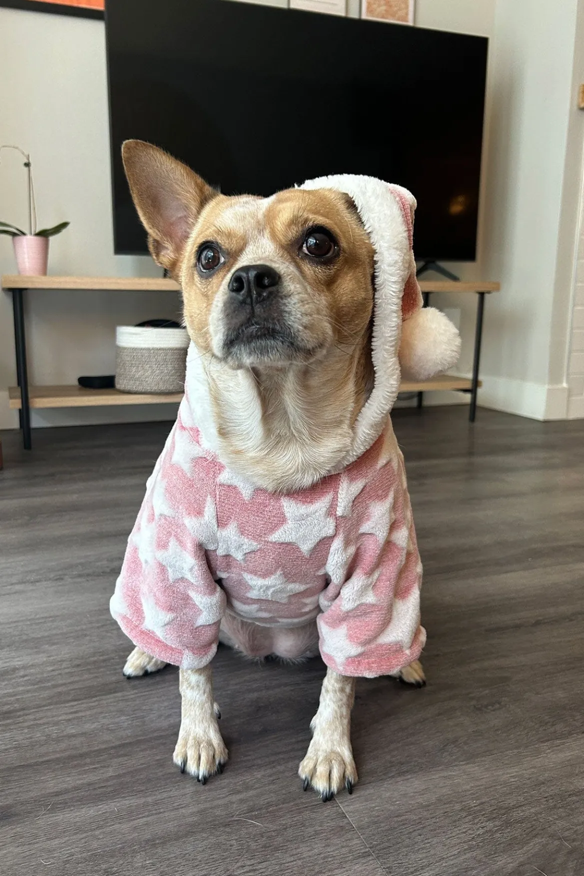 STAUD CUSTOM SHIRLEY LEATHER BAG | BLUSH