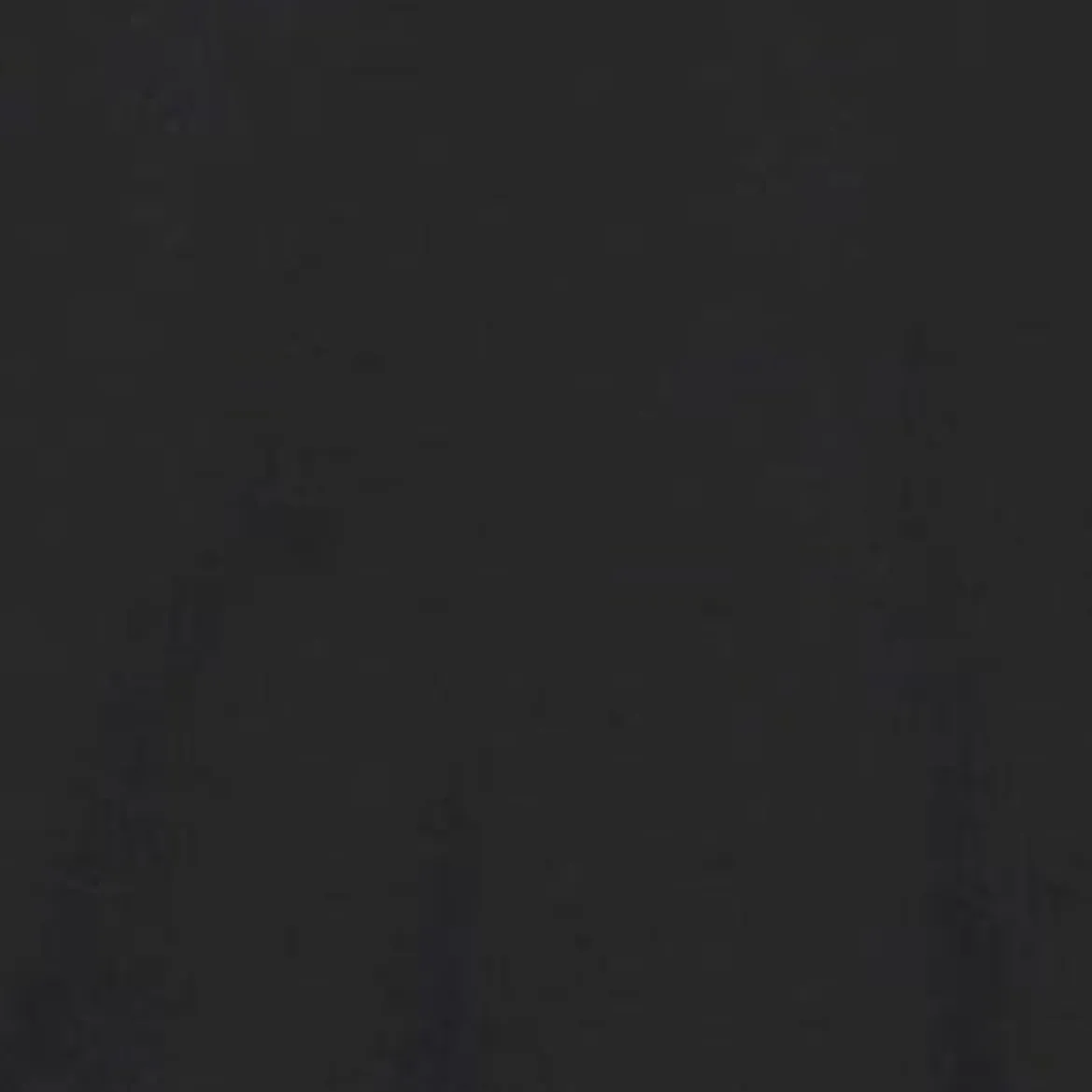 STAUD CUSTOM STAUD x C.BONZ OVERSIZED SWEATSHIRT | GREY