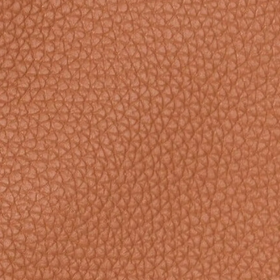 STAUD GRANDE TOTE BAG TAN