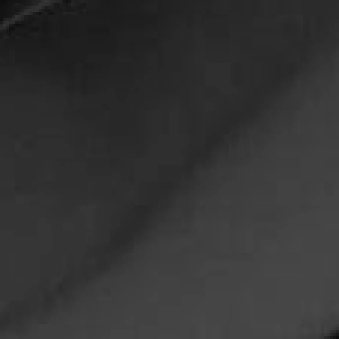 STAUD LOULOU LOAFER BLACK